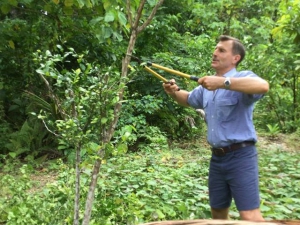 Supporting fruit and nut replanting in Niue